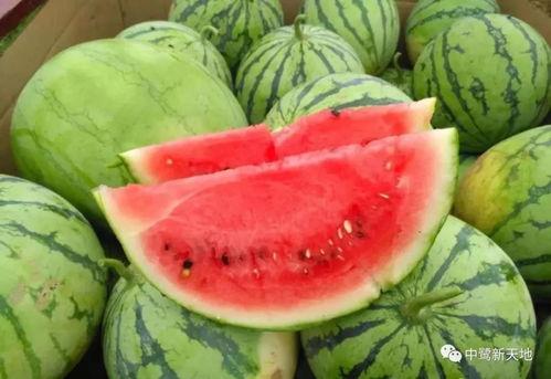 黑料吃瓜中心今日吃瓜武汉万科